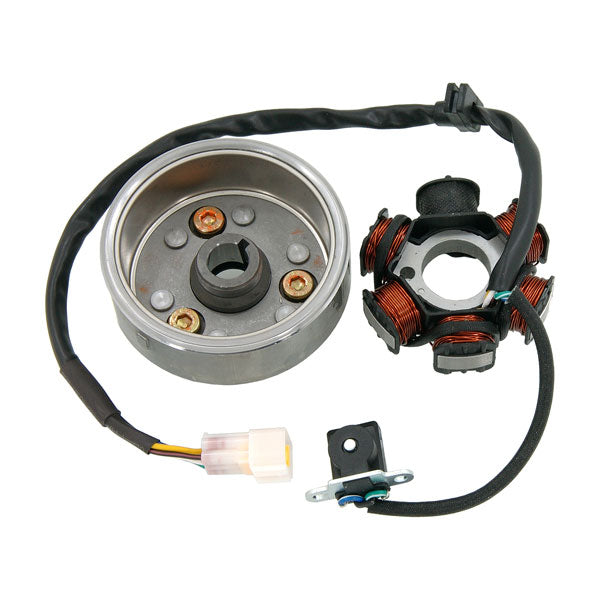BS1458-13 - Rotor Assy Magneto