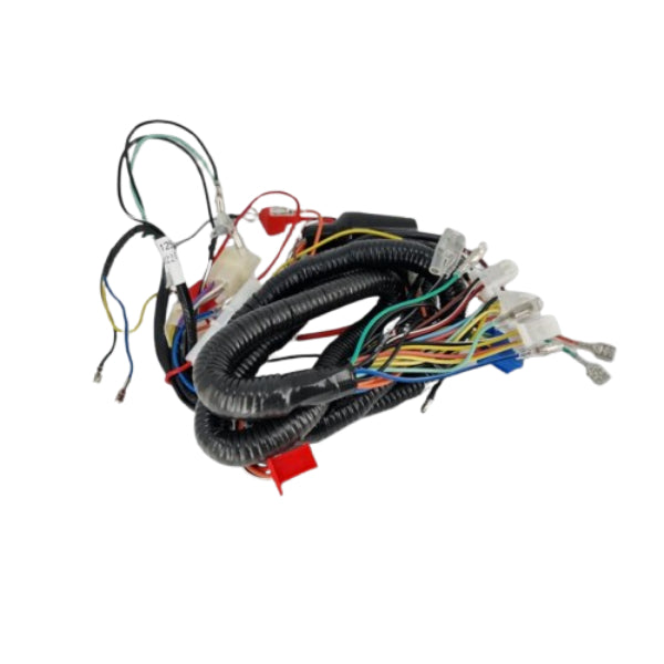 BS0418 - DX Euro 4/5 Wiring Loom