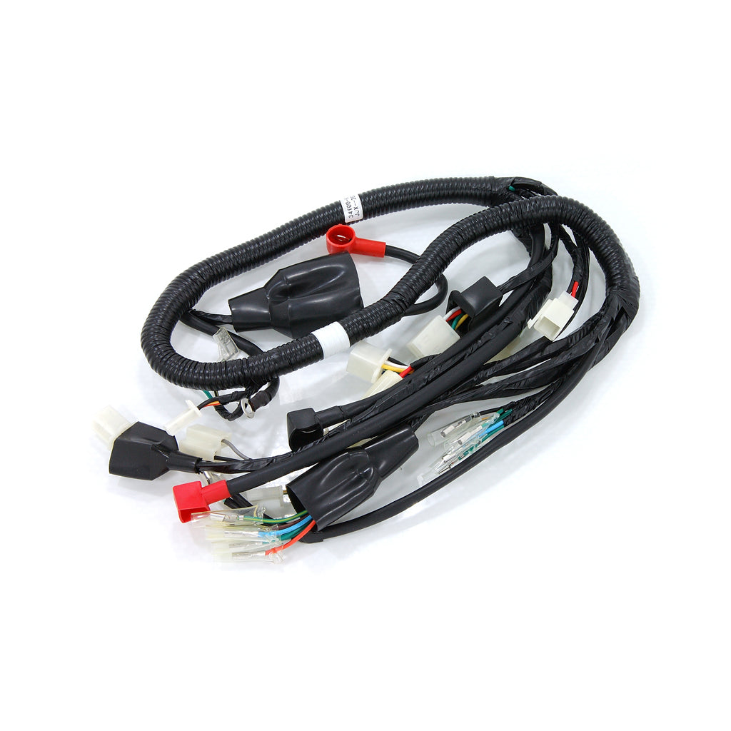 BS1569 - CUB Main Cable Wiring Loom