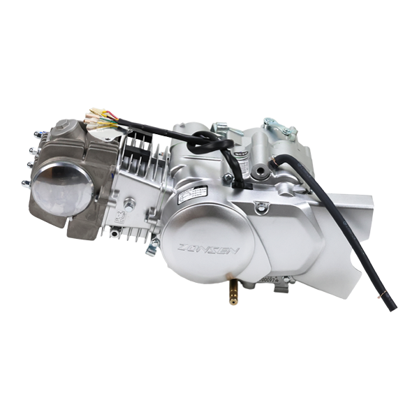 BS0185 Zongshen 125cc Kick Start Engine In Silver