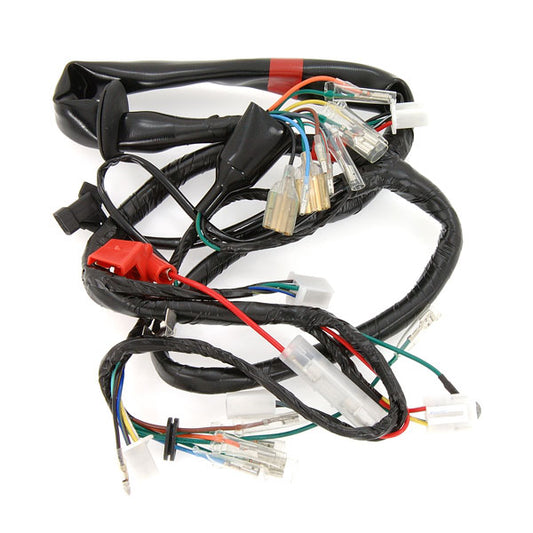 BS0233 - Carbon Performance Wiring Loom For Old Timer DX 12V