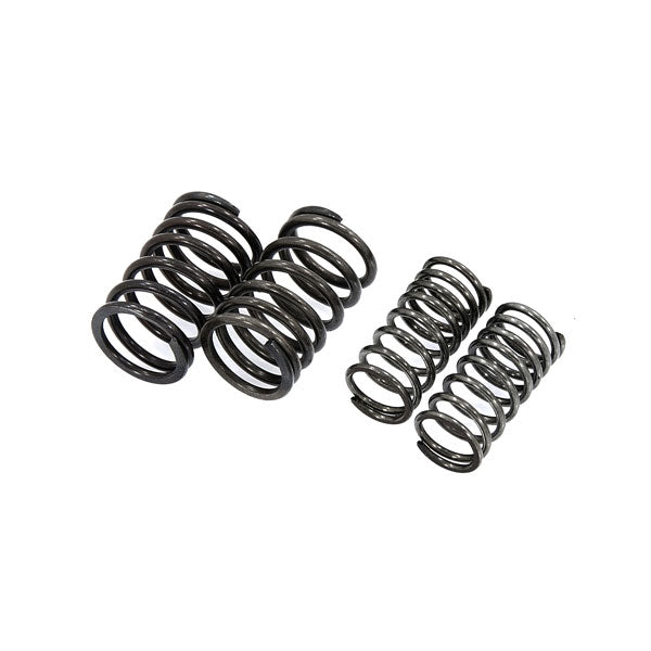 BS1182 - WS Valve Spring Set 4pc Set PH14751-0004