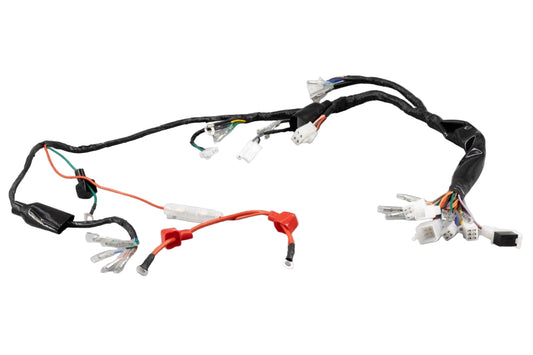 BS2544 - SKYTEAM DX 50cc Euro 4 Wiring Loom