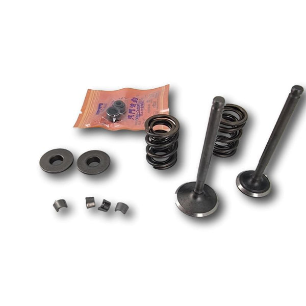 BS1117-YX-2 - Engine Valve Repair Kit YX150 YX160