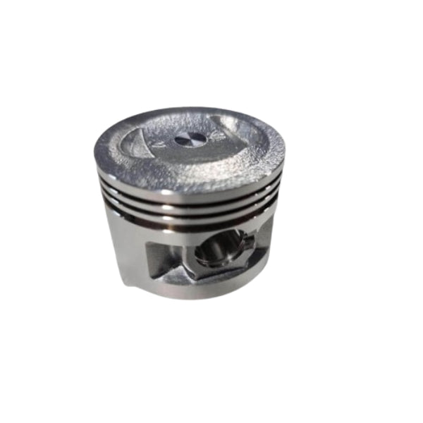 BS1319 - Piston Kits with Ring 100045P/-GK4-47MM STD