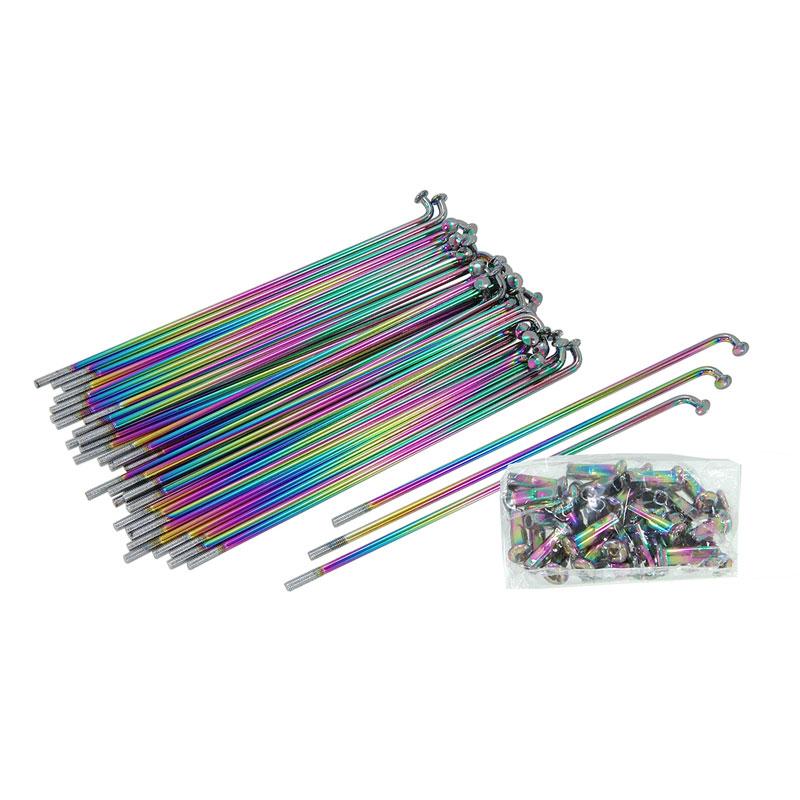BS1665 - CUB 10 X 157 Multicolour Spokes 36