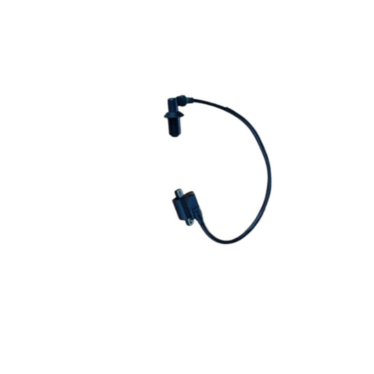 BS0247 - Ignition Coil Dax Euro 5. Not the Same as Euro 4