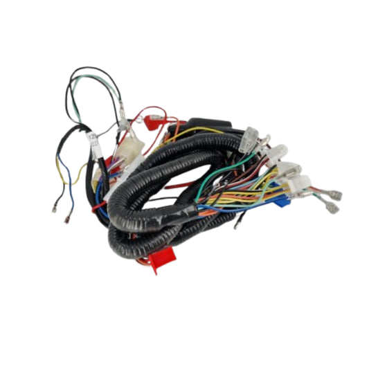 BS0418 - DX Euro 4/5 Wiring Loom