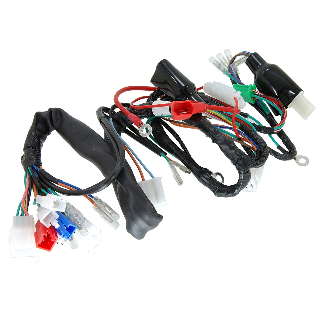 BS0201 - 12V MUNK Wiring Loom